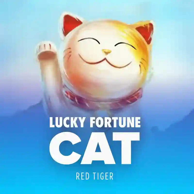 Lucky Fortune Cat